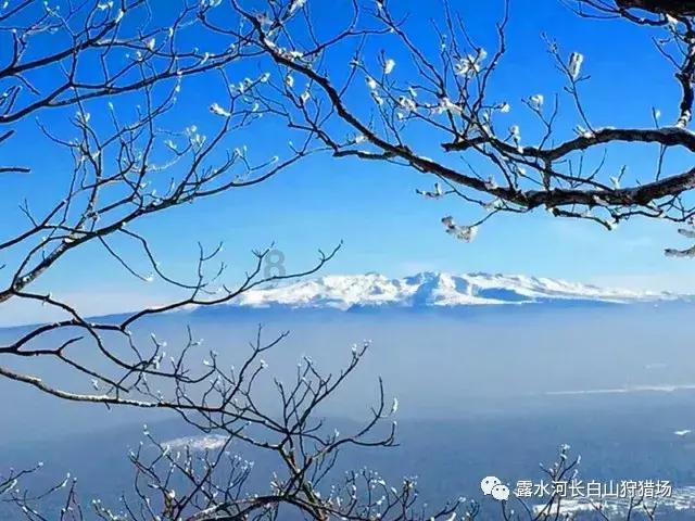 发现热门话题,尽在成吉思汗姓什么?红迪网!